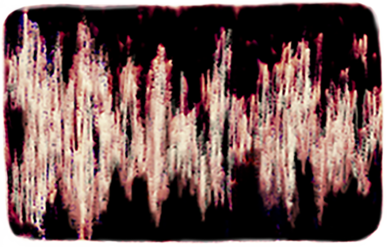 motif décoratif 2