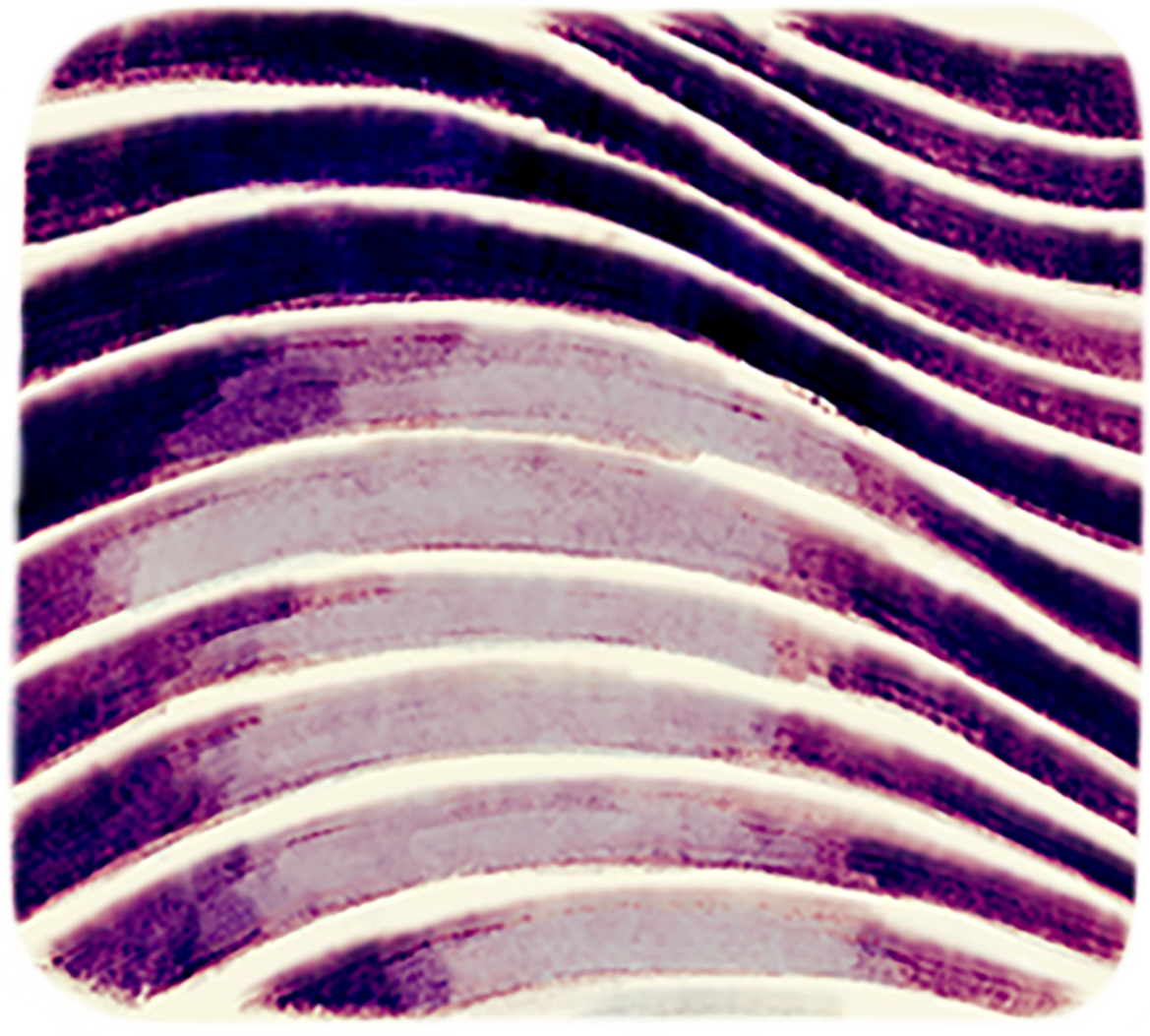motif décoratif 3